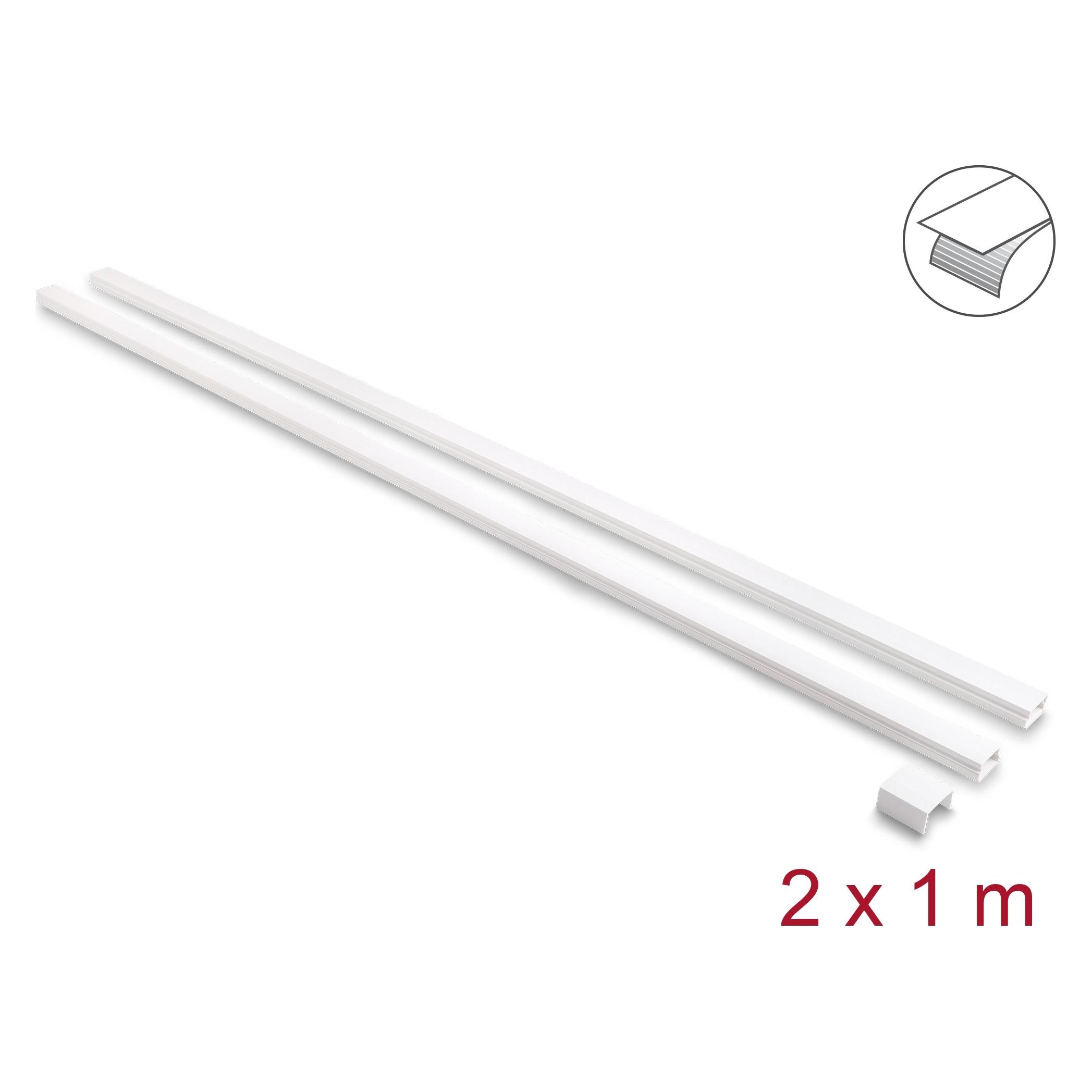 Delock Selbstklebender Kabelkanal mit Schiebedeckel, 24 x 14 mm (Kabelkanal, 100 cm) (22086)