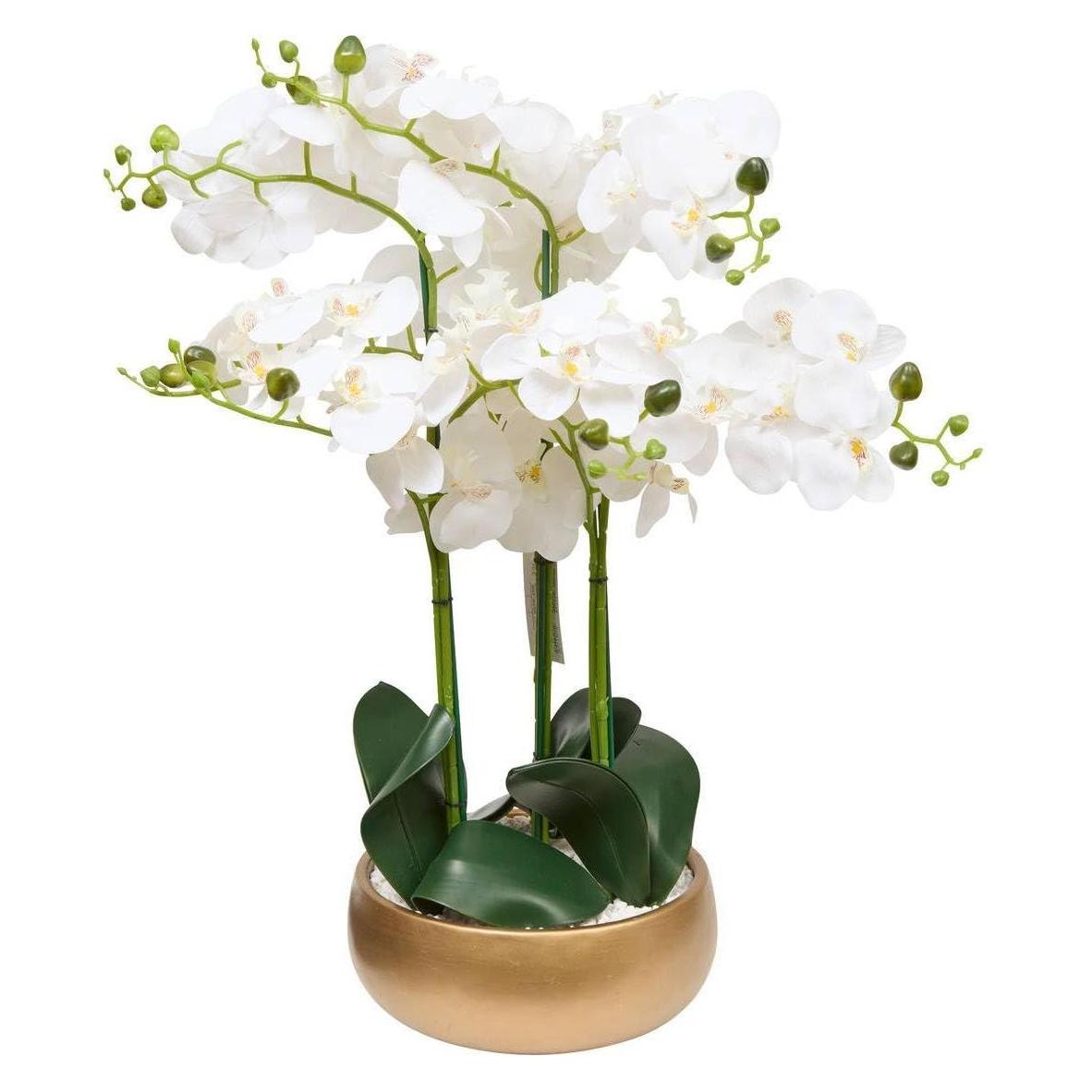 Atmosphera Sztuczny storczyk w złotej doniczce SANAE, wys. 65 cm (65 cm) (59962714)