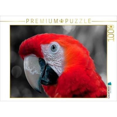 CALVENDO Puzzle Gesichter - Papagei Ara | 1000 Teile Lege-Größe 64x48cm Foto-Puzzle für glückliche Stunden, Sonstige von , Calvendo Puzzle