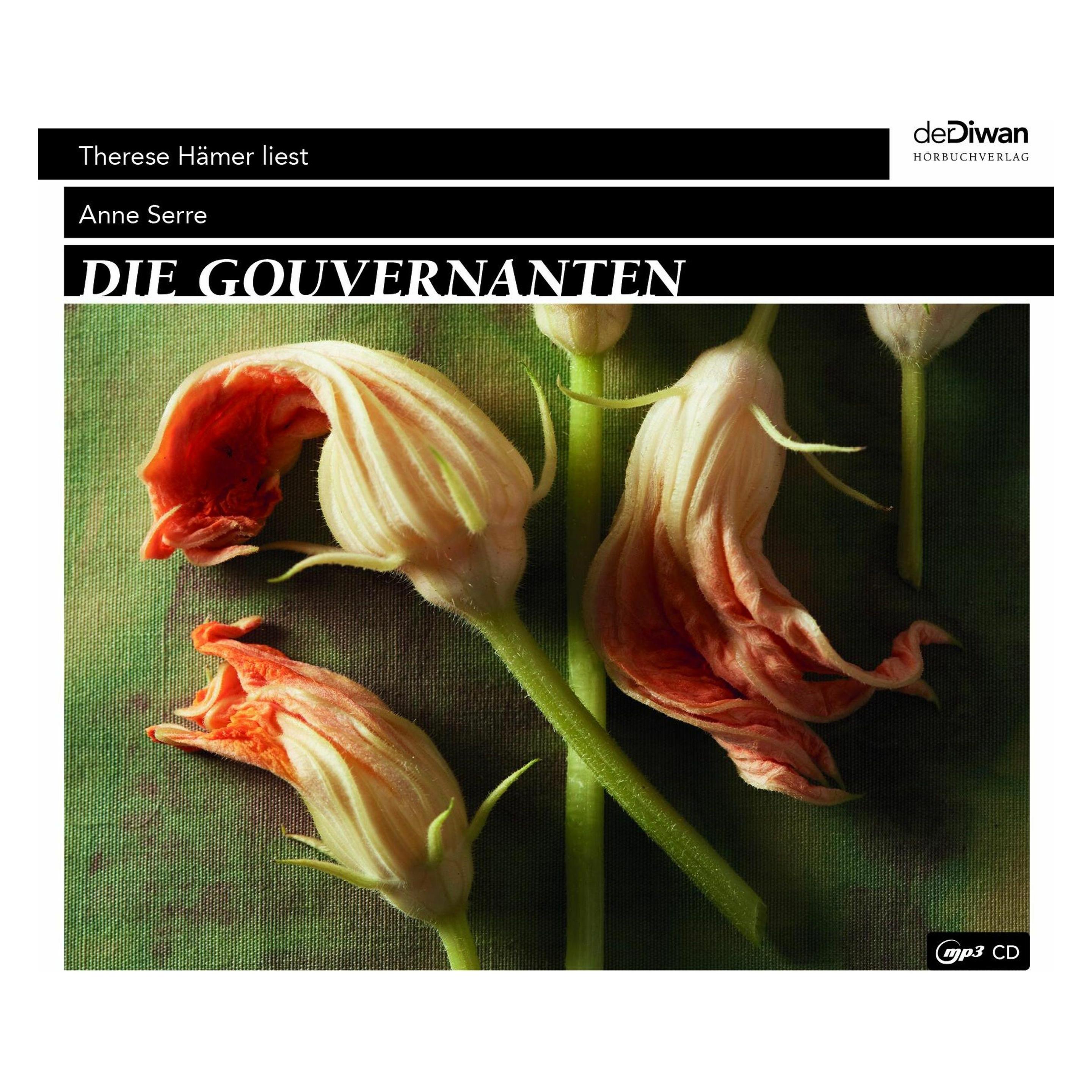 Diwan Die Gouvernanten (Anne Serre, Patricia Klobusiczky, Therese Hämer, Tina Walz, Deutsch) (40039057)