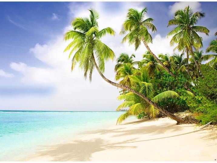 Fototapete PAPERMOON Beach in the South Seas , bunt, B:1,5m L:1,11m, Vlies, Tapeten, Fototapete