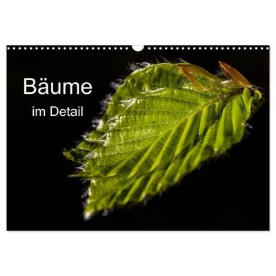 Bäume im Detail (Wandkalender 2027 DIN A3 quer), CALVENDO Monatskalender