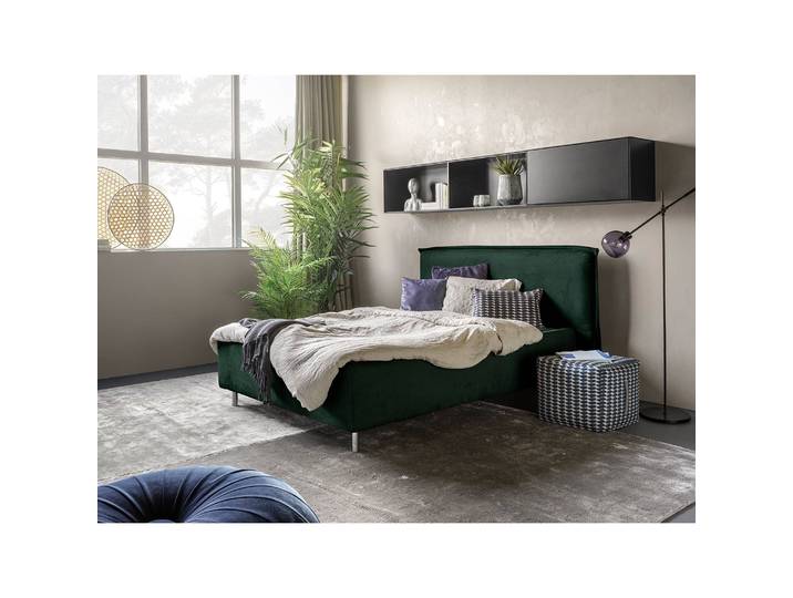 Polsterbett Homely 180 x 200cm Microfaser Panja Grün Buche