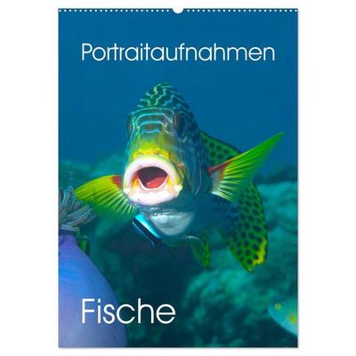 Portraitaufnahmen - Fische (Wandkalender 2026 DIN A2 hoch), CALVENDO Monatskalender