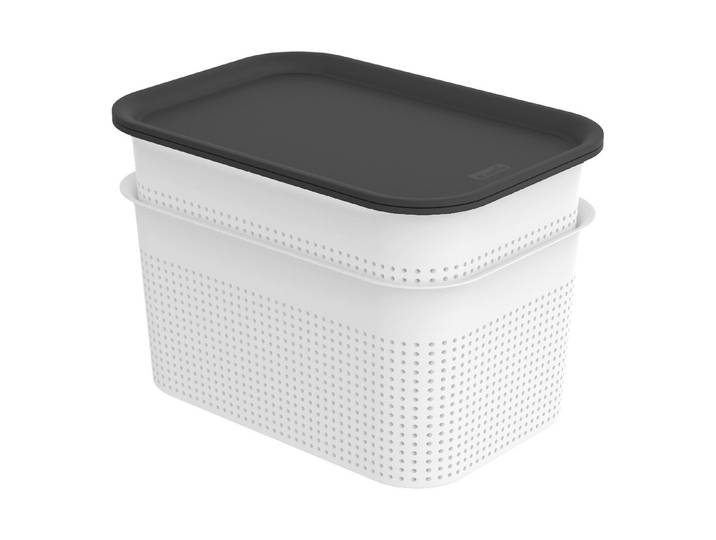 Rotho 2er-Set Box mit Deckel Brisen 4.5 l