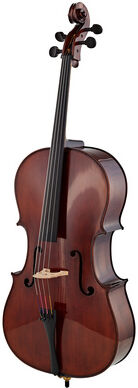 Gewa Georg Walther Concert Cello RB