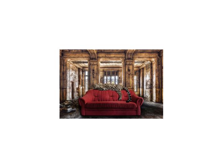 Glasbild „Relaxing Leo“ 100 x 150 cm Multicolor Crea Collection