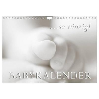 ...so winzig - Babykalender (Wandkalender 2027 DIN A4 quer), CALVENDO Monatskalender