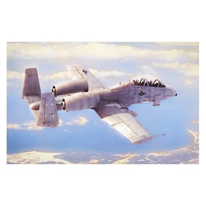 Hobby Boss N/AW A-10A Thunderbolt II (80324)