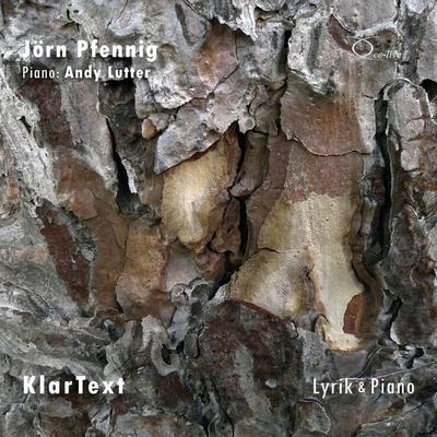 KlarText - Jörn Pfennig, Audio, 9783956164293