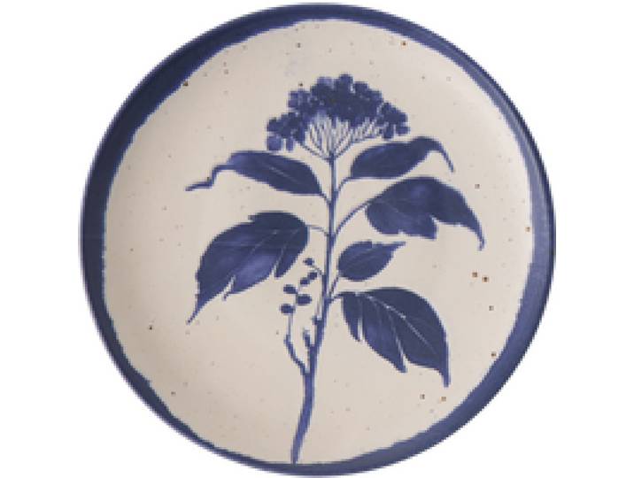 Lot de 6 Assiettes plates D22cm Achillée Campo