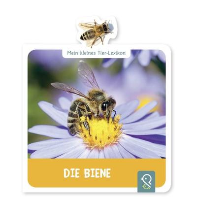 Die Biene, Gebundene Ausgabe von Hannah Kastenhuber, Klein & groß Verlag, 978-3-946360-11-7