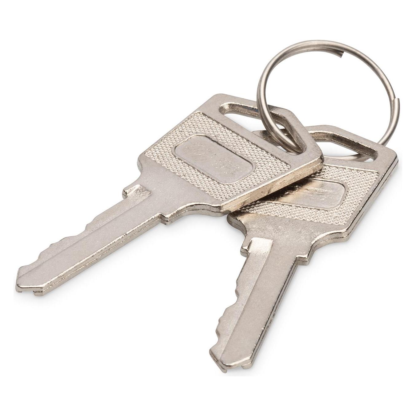Digitus Schlüssel für Ladeschränke (DN-45000-KEY)