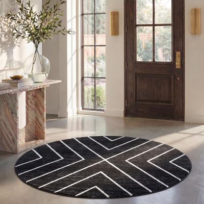 SAFAVIEH Adirondack Arife Vintage Oriental Rug