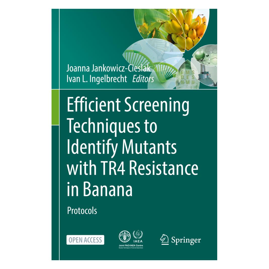 Springer Efficient Screening Techniques to Identify Mutants with TR4 Resistance in Banana (Englisch, Softcover, Ivan L. Ingelbrecht, Joanna Jankowicz-Cieslak) (56229379)