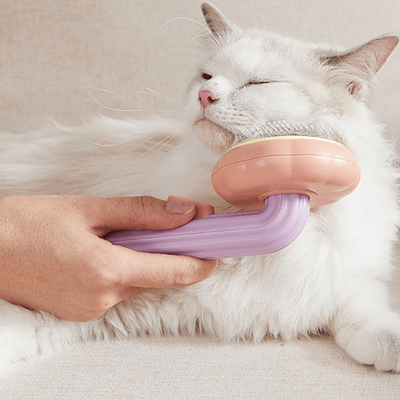 PetsAreLife Pumpkin Pop Pet Brush Purple