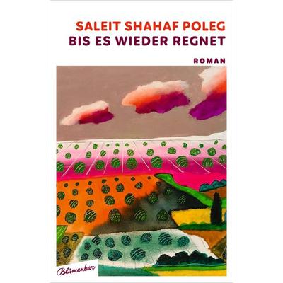 Bis es wieder regnet, Gebundene Ausgabe von Saleit Shahaf Poleg, Blumenbar