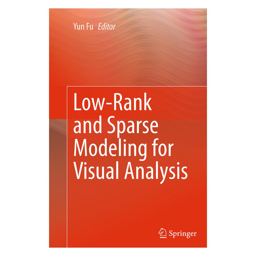 Springer Low-Rank and Sparse Modeling for Visual Analysis (Englisch, Softcover, Yun Fu) (55830008)