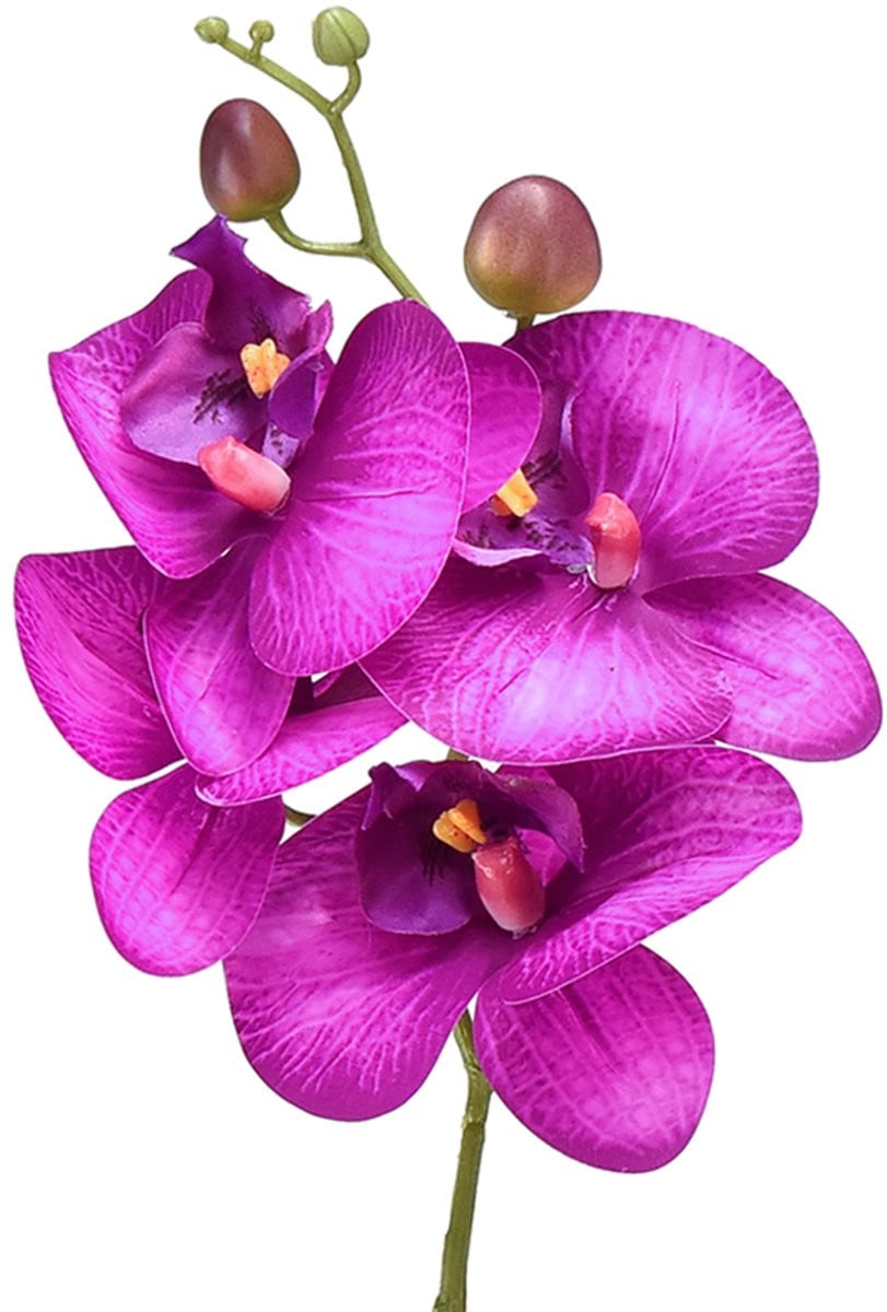 DPI GmbH Kunstmatige Orchidee Phalaenopsis met 4 Fuchsia bloemen, 72 cm
