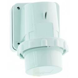 Bals Elektrotechnik 2491 2491 CEE Wandstecker 1 St.