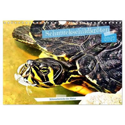 Schmuckschildkröten - Schmuckstücke der Natur (Wandkalender 2027 DIN A4 quer), CALVENDO Monatskalender