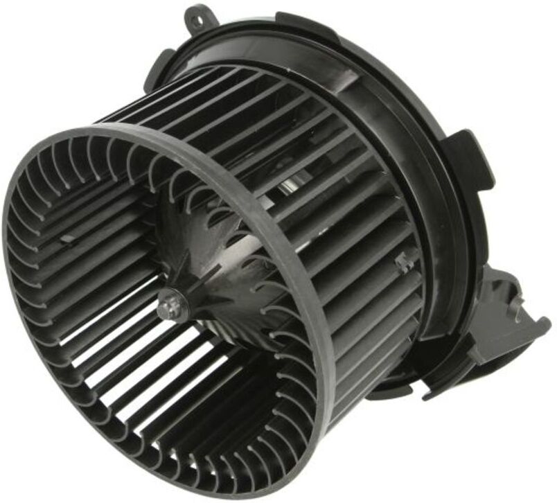 Elektromotor, Innenraumgebläse THERMOTEC DDP010TT