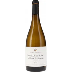 Bourgogne blanc La Plante des Champs Thomas-Collardot 2023 BIO