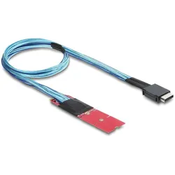 Delock M.2 Key M zu 1 x OCuLink SFF-8611 Konverter mit 45 cm (45 cm), Interne Kabel (PC)
