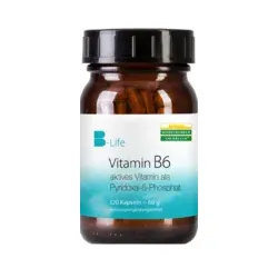 VITAMIN B6 KAPSELN 120 St