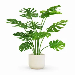 Kunstpflanze mit Topf Monstera mit Topf Solco 120 cm Weiß