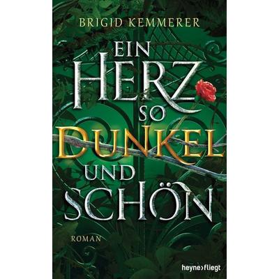 Ein Herz so dunkel und schön, Gebundene Ausgabe von Brigid Kemmerer, Heyne, 978-3-453-27253-8
