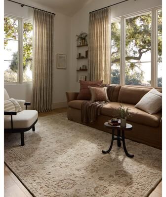 Alexander Home Paxen Traditional Area Rug
