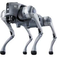 Go2 Air , Roboter grau, Inklusive Ferbedienung