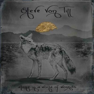Alone In A World Of Wounds (LP) - Steve Till, Vinyl
