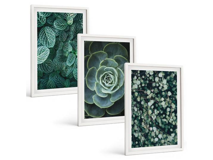 Tulup Bilder SET 3er Set - 40x60 cm Weißer Rahmen - Sukkulenten, Kunststoff, Rechteckig, 40x60 cm, gerahmt, Bilder & Rahmen, Bilder