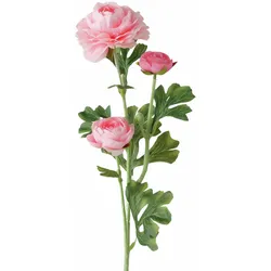 Kunstblume RANUNKEL (BHT 8,50x63,50x12 cm) - BHT 8,50x63,50x12 cm