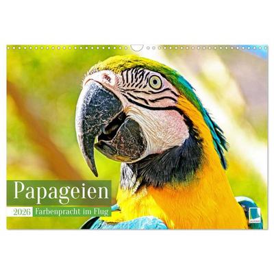 Papageien: Farbenpracht im Flug (Wandkalender 2026 DIN A3 quer), CALVENDO Monatskalender