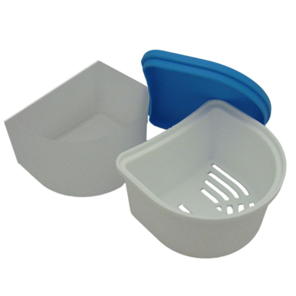 Prothesenbox Hygiene m.Einsatzkorb 1 St Box