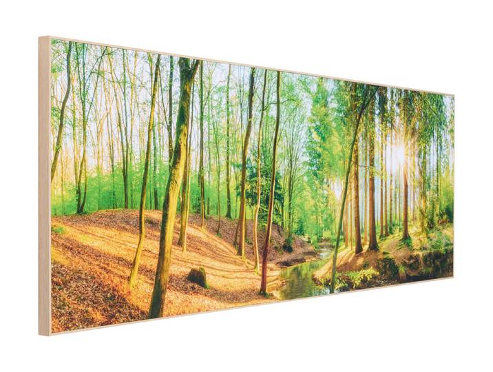 Wandbild 52x156 Spring Woods