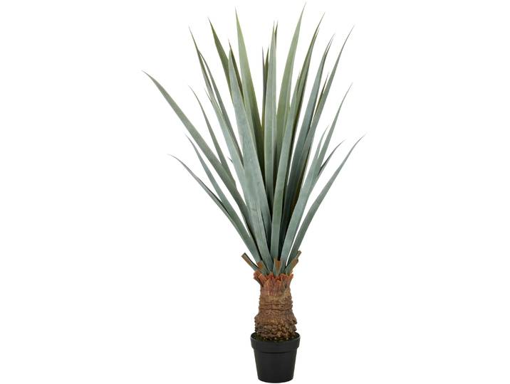 Kunstpflanze CREATIV GREEN Agave angustifolia , grün (grün, grau), H:140cm, Kunststoff, Kunstpflanzen, Kunstpflanze, in beeindruckender Größe