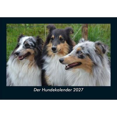 Der Hundekalender 2027 Fotokalender DIN A5