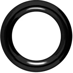 Chirurgenstahl Segmentring