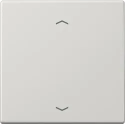 Jung Wippe Symbole lgr LS 990 P LG LS990PLG