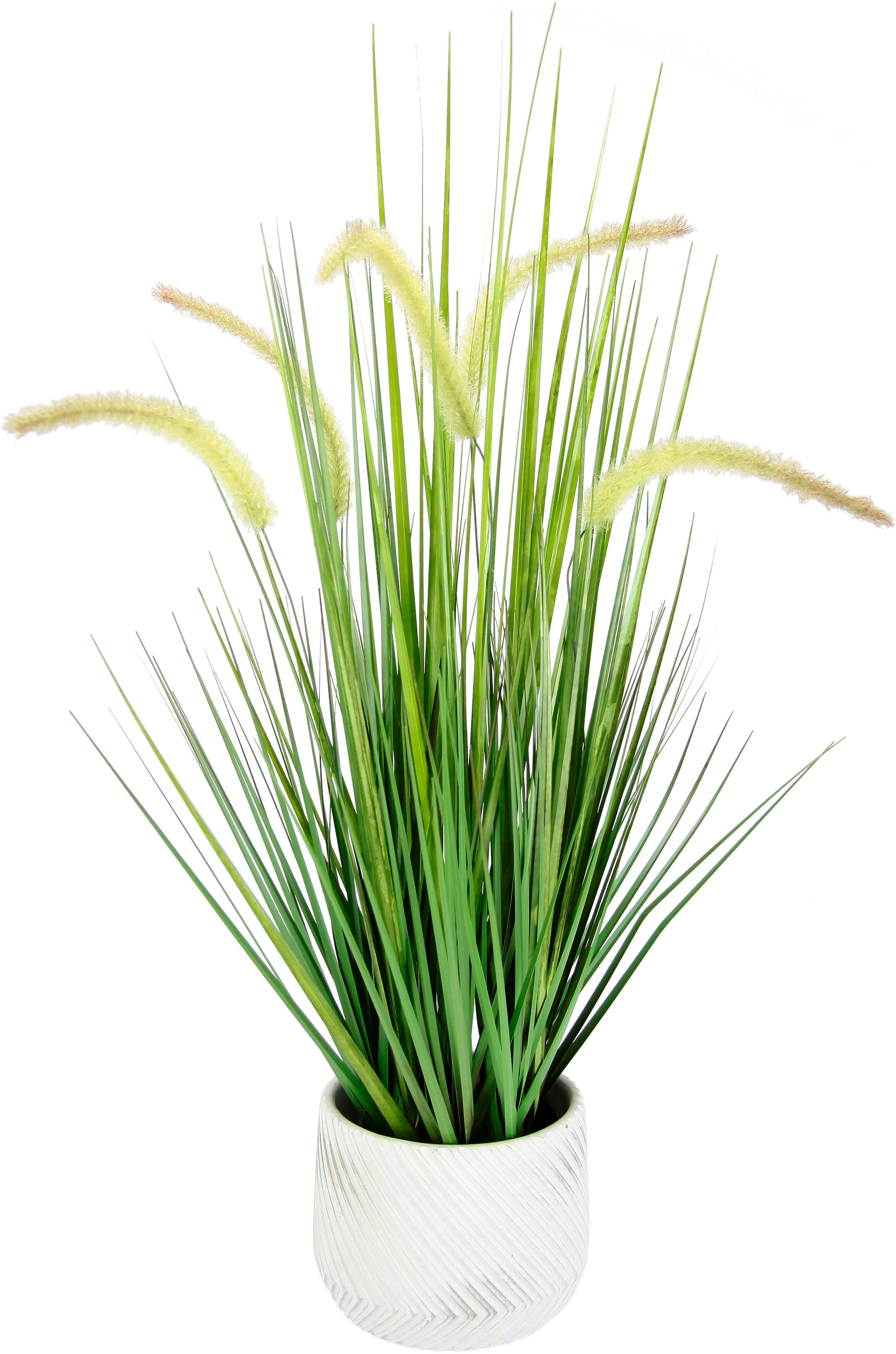 Kunstpflanze I.GE.A. "Fuchsschwanzgras", grün, B:28cm H:67cm L:28cm, Kunstpflanzen, Kunstpflanze, Mit Übertopf Kunstgras Deko Borstenhirse Panicoideae Süßgräser Setaria