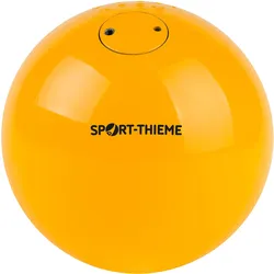 Sport-Thieme, Leichtathletik, (7260 g)