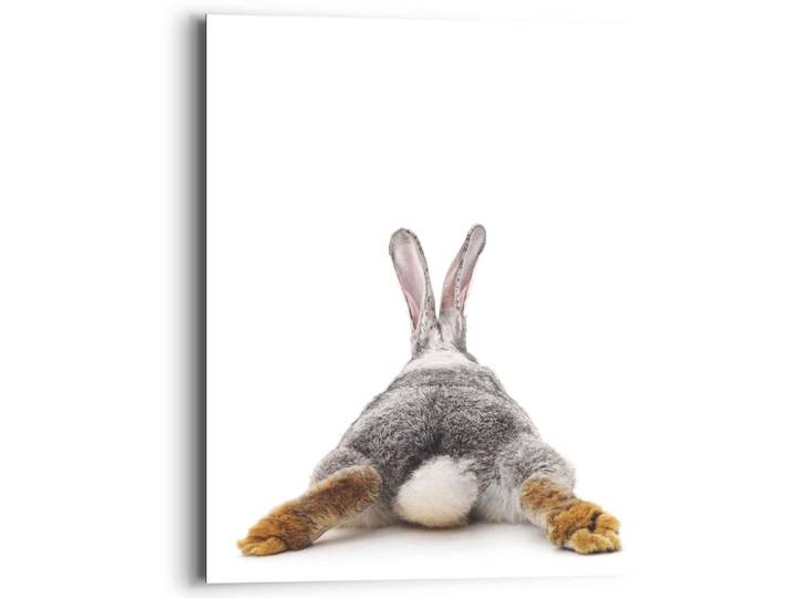 Wandbild REINDERS Wandbild Kaninchen Rabbit - Hase - Schwanz - Relax , weiß (farbe bild(er): weiß), B:40cm H:50cm, MDF, Bilder, Wandbild