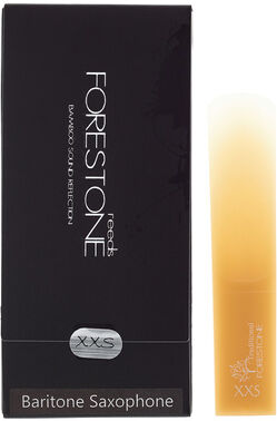 Forestone Baritone Saxophone XXS
