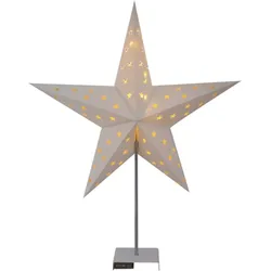 LED Licht Stern auf Metallfuß Leuchtstern 10 LED und Timer