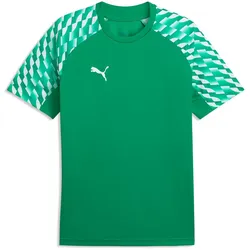 PUMA teamLIGA 26 Trikot Herren 05 - sport green/puma white/sport green XXL