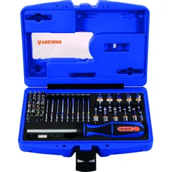 PROJAHN 1/4" Bit Box mit markierten Bits 60tlg inkl. Ratschenschraubendreher mi...